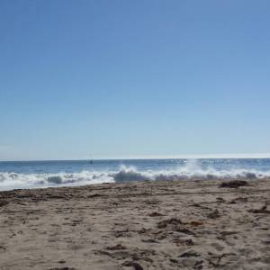 12091230_10153391966708183_1955694329026577788_o